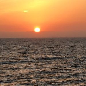 Meet your Posher, Linh